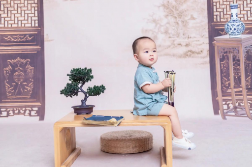 代怀生子好找吗可爱的企鹅宝宝